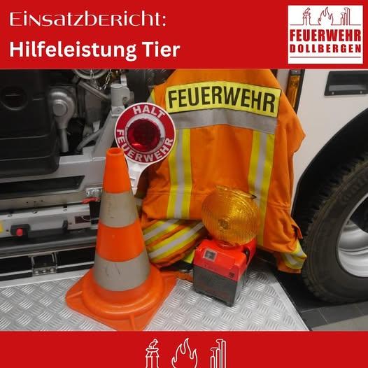 Hilfeleistung Tier