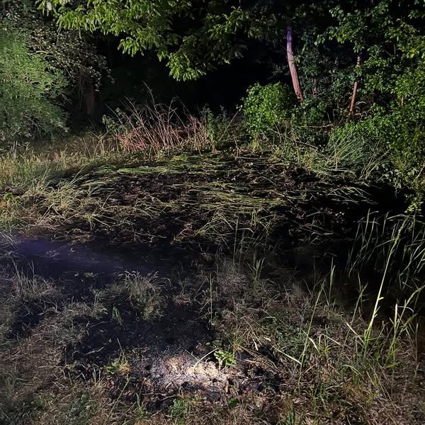 Böschungsbrand